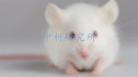 動物模型制備