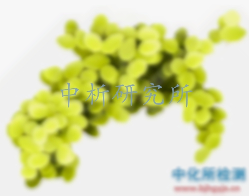 酵母菌檢測