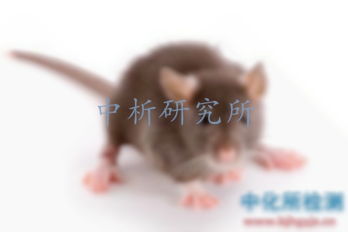 致畸試驗