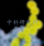 金黃色葡萄球菌檢測(cè)