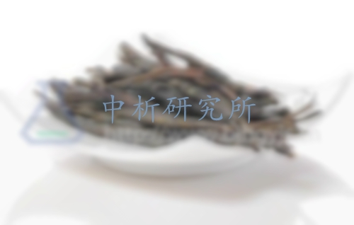 苦丁茶檢測
