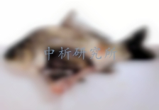 藻毒素檢測(cè)