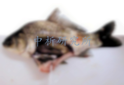藻毒素檢測(cè)