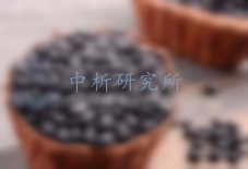 這些黑豆檢測(cè)項(xiàng)目你一定用得上