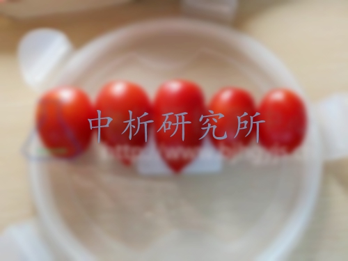 圣女果檢測報告