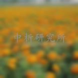 葉黃素檢測