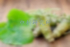 辣根檢測