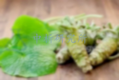 辣根檢測