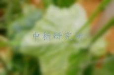 鏈霉素檢測