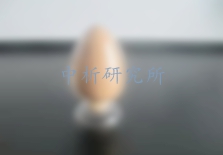 丁酸梭菌檢測