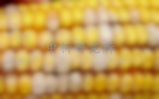 伏馬菌素檢測(cè)
