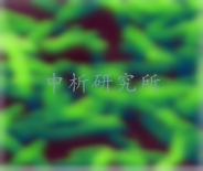 銅綠假單胞菌檢測