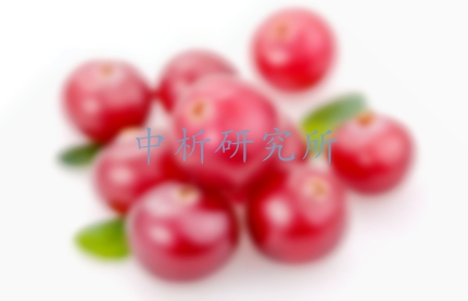 熊果苷檢測