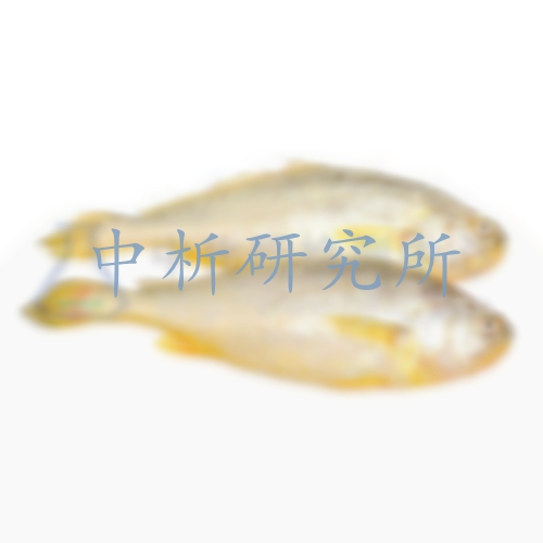 黃花魚檢測