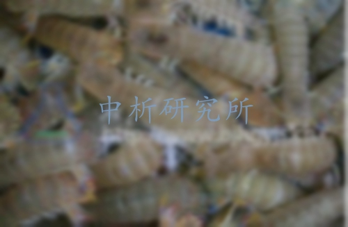 皮皮蝦檢測(cè)