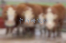 萊克多巴胺檢測(cè)