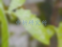 聯(lián)苯菊酯檢測