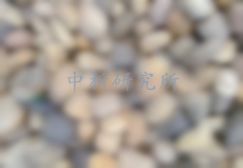 鵝卵石檢測