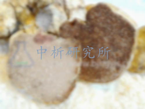 松露檢測(cè)