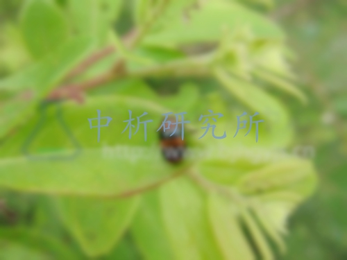馬拉硫磷檢測
