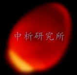 照蛋器檢測(cè)