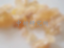 林蛙油檢測(cè)