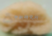 溶脹率測定,溶脹率檢測