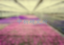 花卉檢測