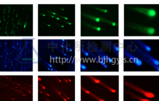 彗星實(shí)驗(yàn)