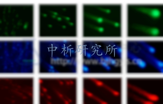 彗星實(shí)驗(yàn)