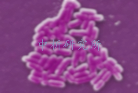 嗜冷菌檢測,嗜冷菌檢測報(bào)告
