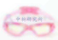 泳鏡檢測
